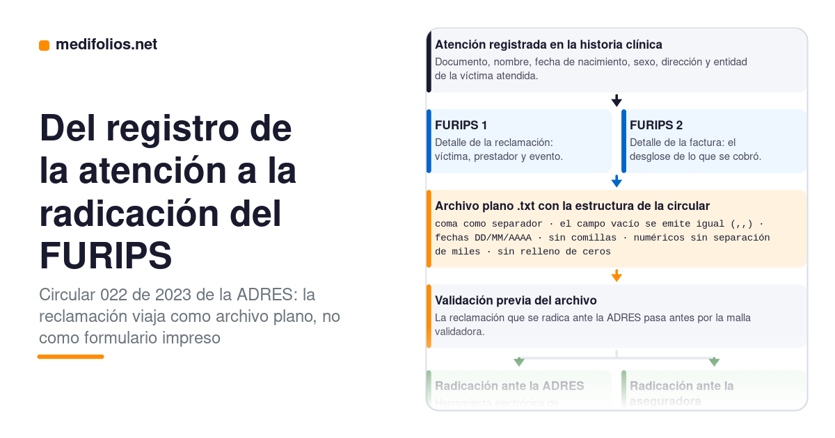 FURIPS: qué es y por qué el formato en PDF dejó de existir